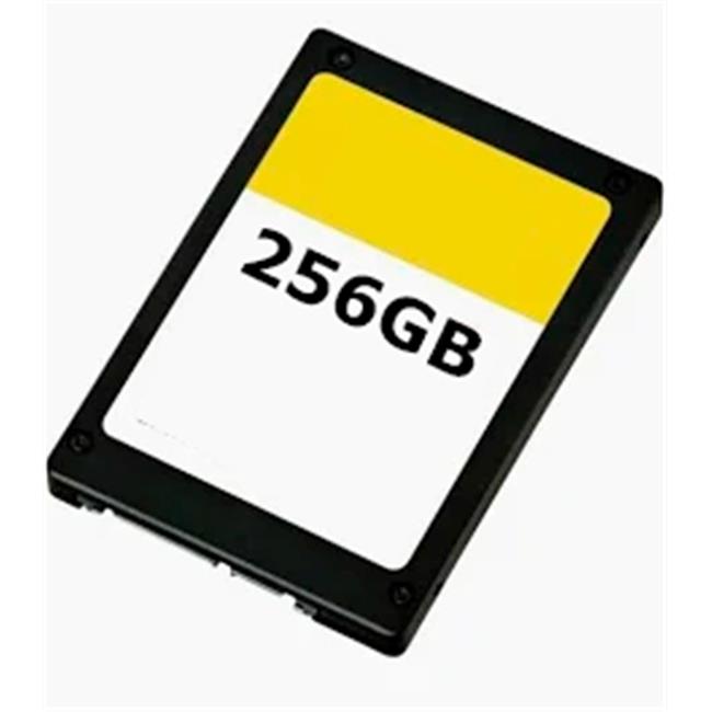 DISCO SSD 256GB